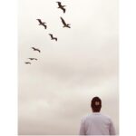 İbrahim Çelikkol Instagram -