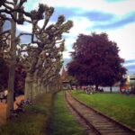 İrem Sak Instagram - Halllloooo????!! Frankfurt am Main / Am Westhafen