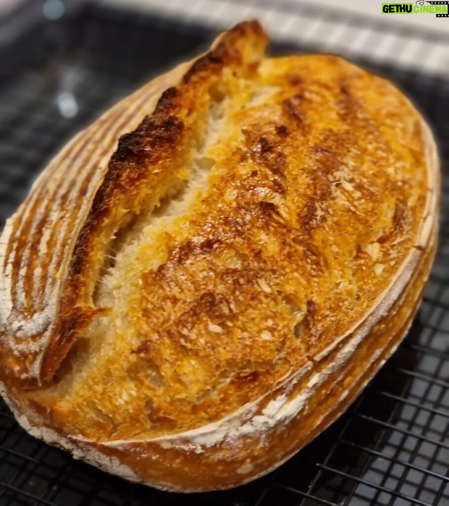 Şahan Gökbakar Instagram - Sahalara döndüm 👍bir sefer de sizden bekliyorum hanımefendi. Her yemeği güzel yapıyorsunuz bir de ekmeğinizi gorelim 😁 @bizimmutfakhalleri #ekşimayalıekmek #sourdough #bread