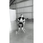 Cameron Monaghan Instagram - The @shameless Season 11 premiere is tonight. It is such an honor to have been able to work on this great project for so many years. To be able to see these people I adore for over a decade. To be able to perform challenging, absurd, and outlandish material together. We feel lucky we are paid to do something we love, and recognize how truly rare that is. Thank you all for supporting us and sticking with us for so long. We wouldn’t have been able to do it without you. Please enjoy our final season. Only on @showtime.