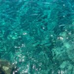 Camila Sodi Instagram – Folegandros , estoy enamorada de ti 💘🇬🇷 Folégandros, Kikladhes, Greece