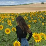 Camila Sodi Instagram - 🌻Las flores favoritas de mi mamá🌻 #shotoniphone Epernay, Champagne, France