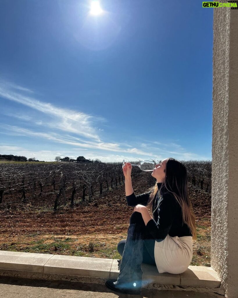Camila Sodi Instagram - Los Sodi hacen vino . Beben vino . Gustan del vino . Gozan el vino 🍷 @vinedosdelaalcarria