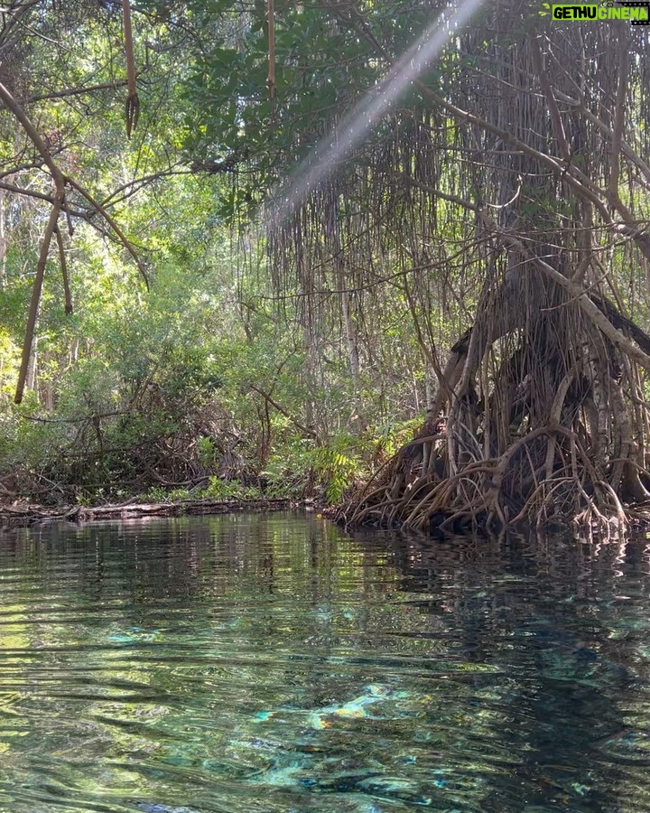 Camila Sodi Instagram - Sisal 🌎❤️ @experiencia_sisal 🌎 Playas desiertas paradisíacas, agua color turquesa , flamingos 🦩, manta rayas, picnic 🧺, ojo de agua dulce , manglares … EL PARAÍSO 🌈☀️🌴🍹 @yucatanturismo Sisal, Yucatan