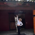 Camila Sodi Instagram - Arre!