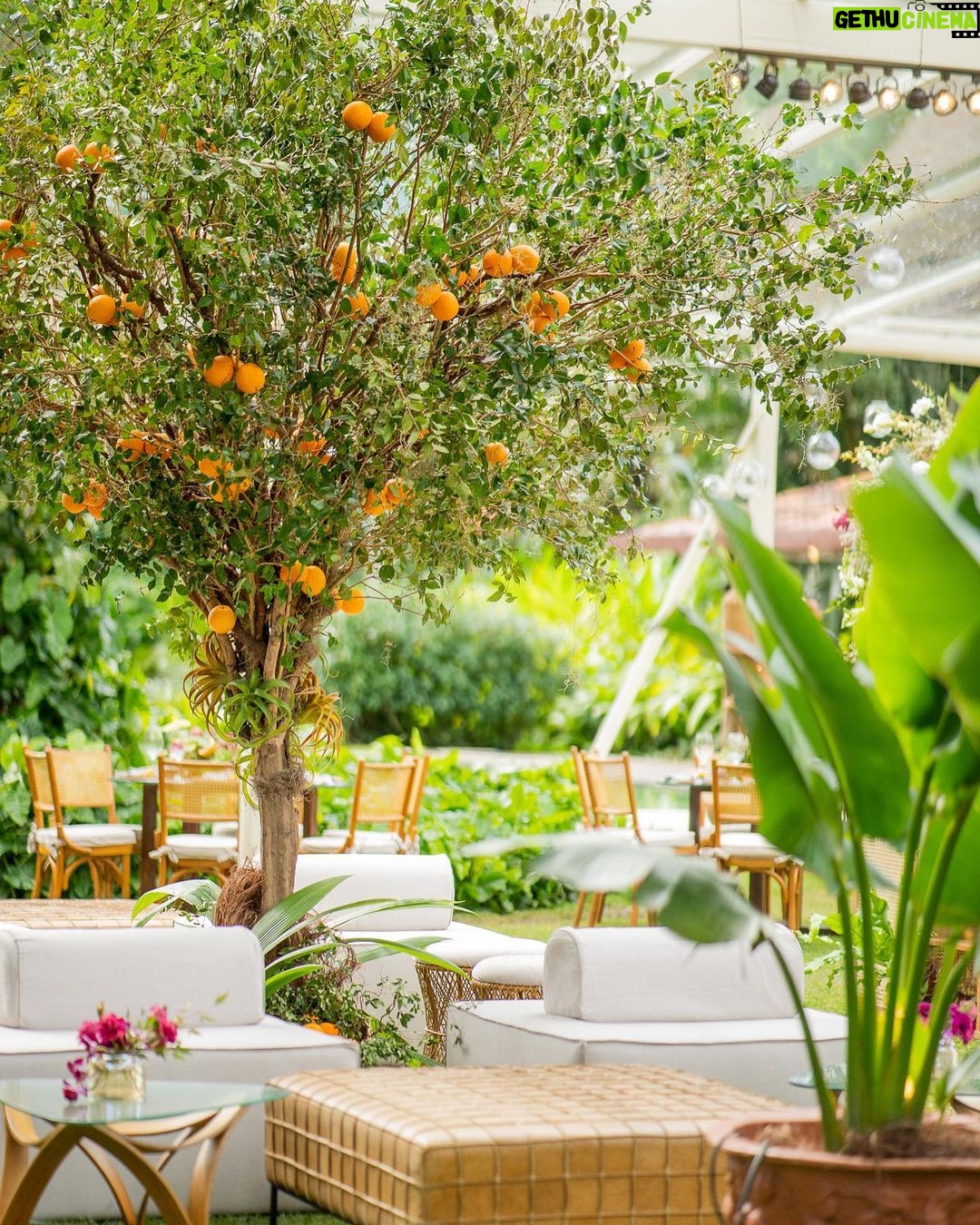 Camilla de Lucas Instagram - Ainda tem muitos detalhes pra falar desse casamento. Mas uma coisa que vocês AMARAM foi a Decoração tropical-contemporânea. São muitos detalhes que nem nas fotos da pra observar. Obs: as flores e frutas são todas naturais. No final rolou uma feirinha hahaha!