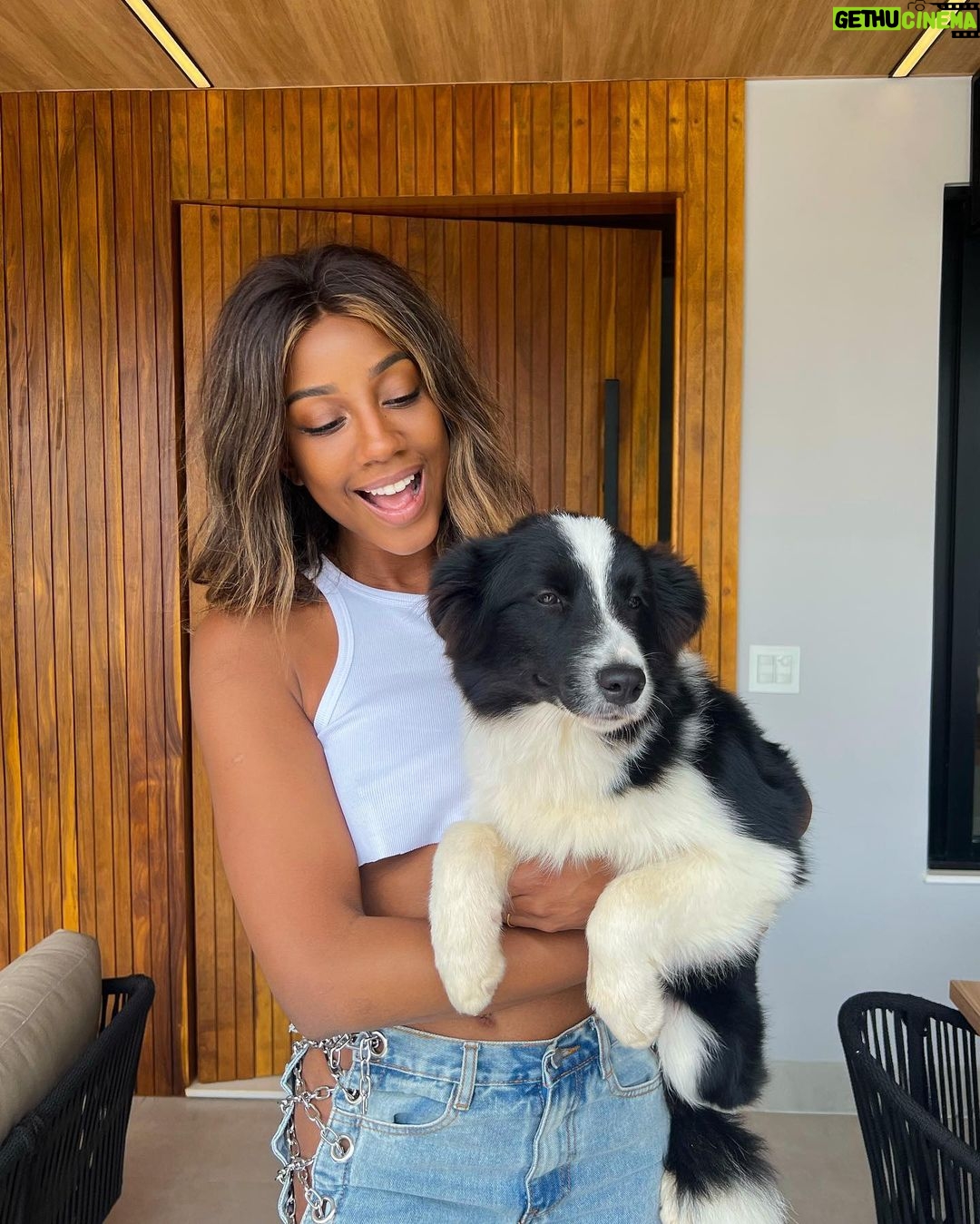 Camilla de Lucas - 246.1K Likes - O novo integrante da família, que já chegou destruindo tudo: Barth. 💙
