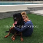 Candace Cameron-Bure Instagram - Life isn’t the same without you 💔 Boris. You will forever be with us in our hearts and memories- you brought us so much love, protection and joy. You were such a special boy. Our hearts will never get over you. Now go run with Emma, Sydney, Gianna, Lola and Samson ❤️ my sweet Bobo