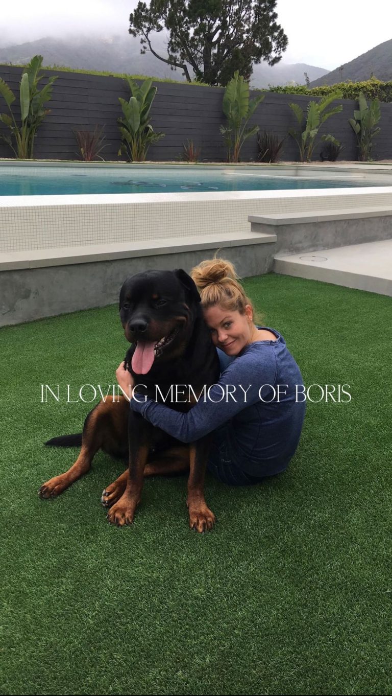 Candace Cameron-Bure Instagram - Life isn’t the same without you 💔 Boris. You will forever be with us in our hearts and memories- you brought us so much love, protection and joy. You were such a special boy. Our hearts will never get over you. Now go run with Emma, Sydney, Gianna, Lola and Samson ❤️ my sweet Bobo
