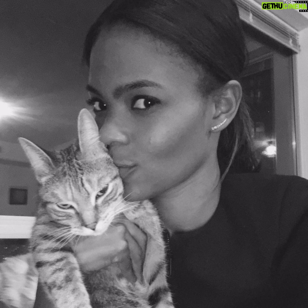 Candace Owens Instagram - It’s my birthday. And while I can admit my arms weren’t as toned back in ‘89 as I would have liked— the milk was good, and my party face was strong. The greatest blessing of this last year by far is my husband. He’s my favorite part of everyday. (Also, my cat— because she polices my Instagram) Here’s to another trip around the sun!