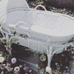 Candace Owens Instagram - It’s a…GIRL💕 The sweetest sprinkle ever for our baby girl, who we cannot wait to meet. So much I can say about yesterday but I’ll just start with the obvious: @brittanyaldean and @jasonaldean are Nashville’s finest. Cannot thank them enough for hosting this most perfect day. Britt—you really have the best heart ever. To know you is to love you. From the moment I arrived in Nashville (no friends or family) you welcomed right into the southern fold. The fact that you were so sick and STILL allowed this day take place is just beyond. Love you so much. And to @erin_creighton_ without whom this day would not have been possible: nothing to say other than you do not meth around. Wishing the entire world could learn the true meaning of southern hospitality. Can’t wait to meet our baby girl.