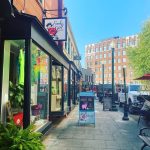 Candice King Instagram - Board games and breweries and pickle ball and rapid falls and other Asheville things of late 📸 Downtown Asheville
