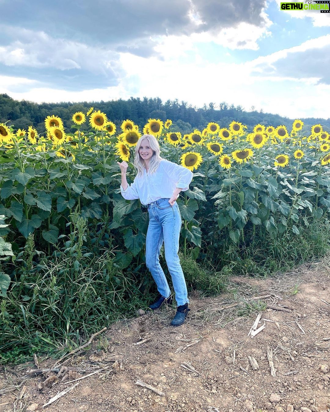 Candice King Instagram - Board games and breweries and pickle ball and rapid falls and other Asheville things of late 📸 Downtown Asheville