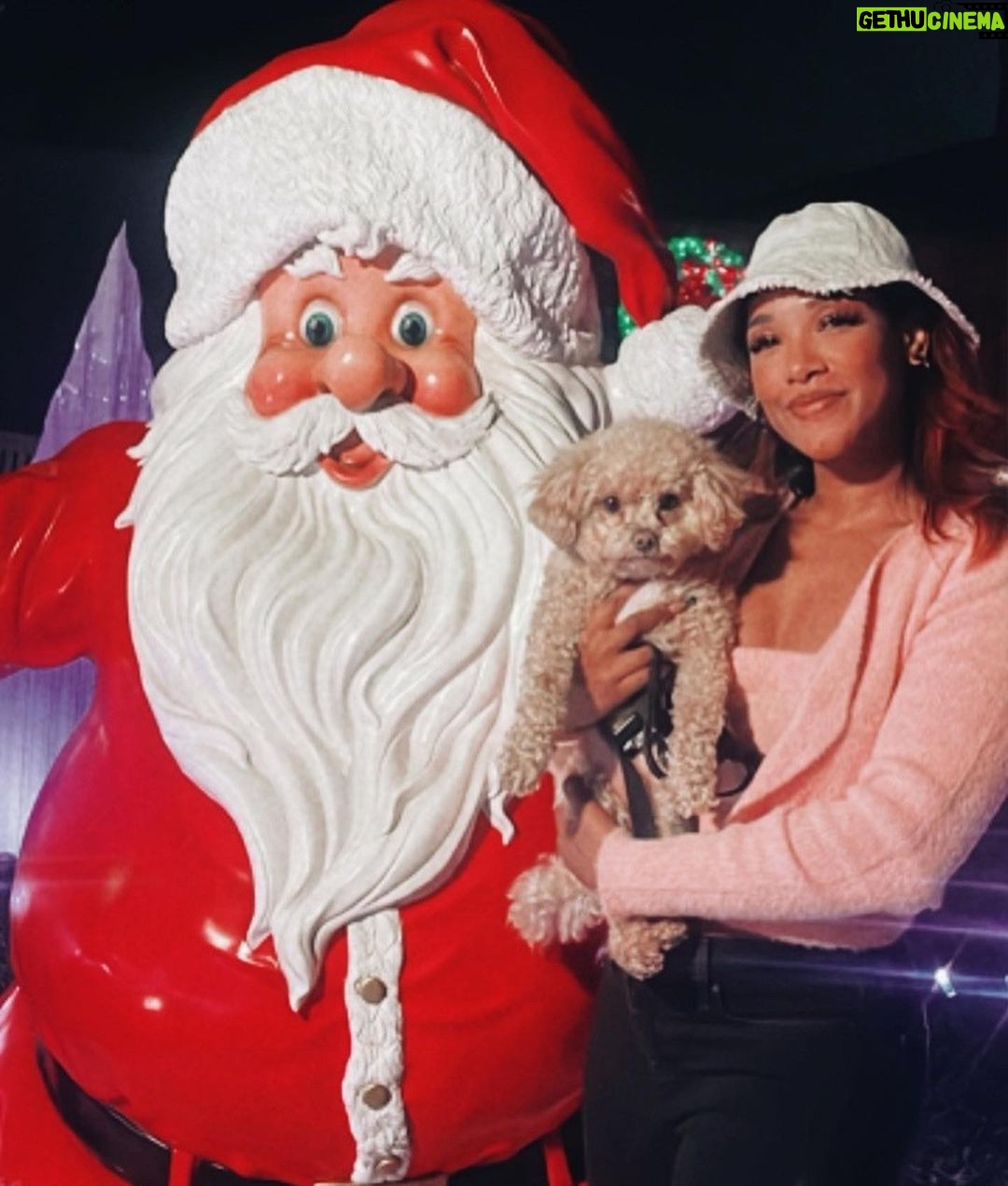 Candice Patton Instagram - Thank you Santa, baby! 🎅🏼