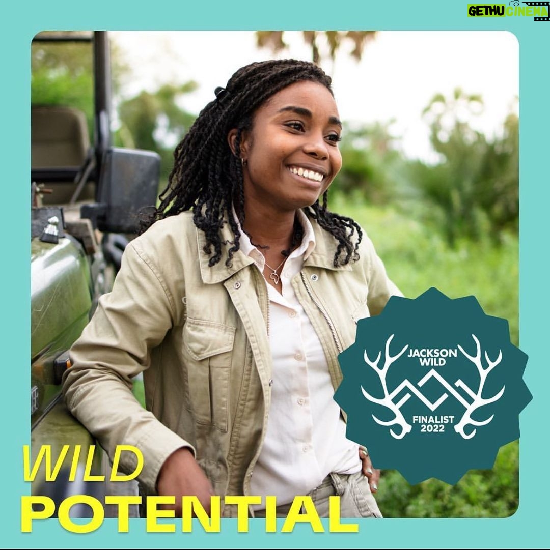 Candice Patton Instagram - I have news! Our film, Wild Potential from Wild Elements Studios, was selected as a finalist for the 2022 @JacksonWildOrg Media Awards @wildelements @geoffluck @whitneybk @gorongosapark