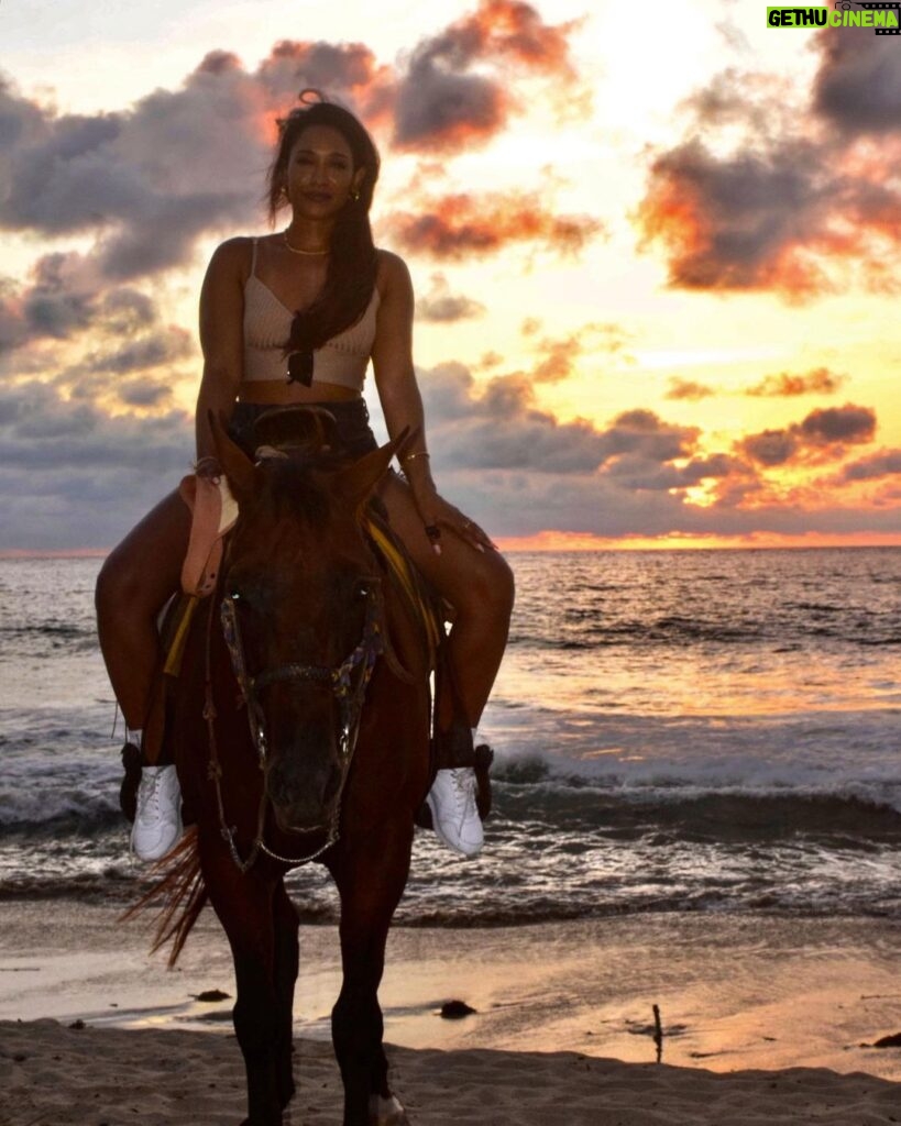 Candice Patton Instagram - Never approach a bull from the front, a horse from the rear, or a fool from any direction. Tomate 🍅 and I on a sunset stroll. #bliss 🇲🇽 Punta De Mita, Nayarit, Mexico