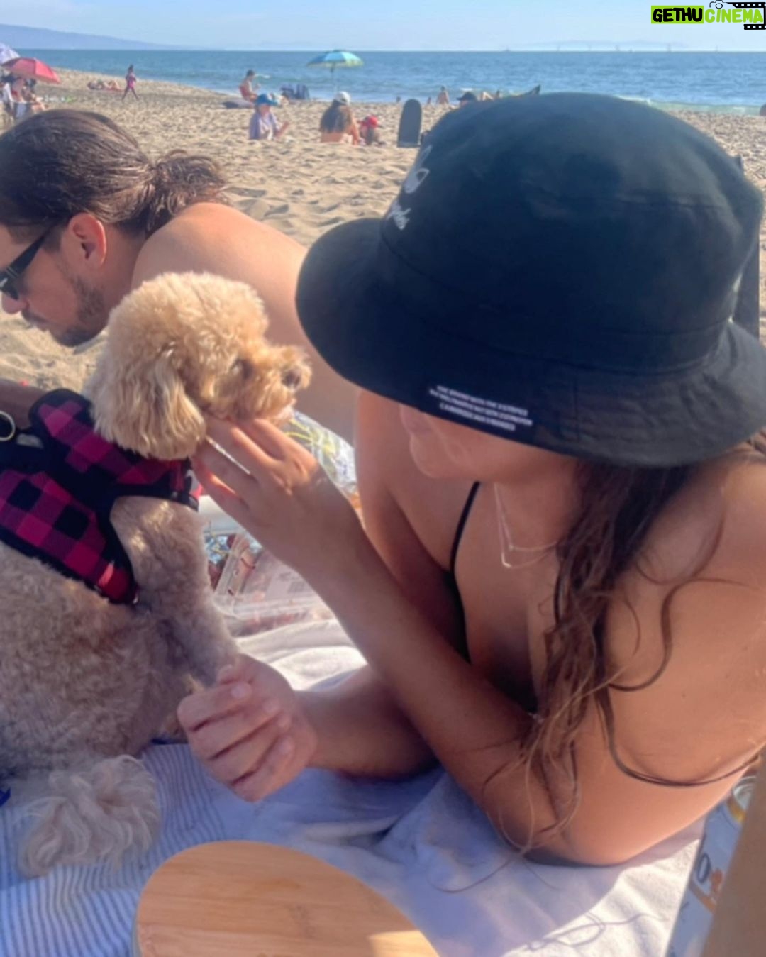 Candice Patton - 198.5K Likes - beach day photo dump 🏖☀️🌊
My favorite things to do on the beach are sleep, read and laugh.