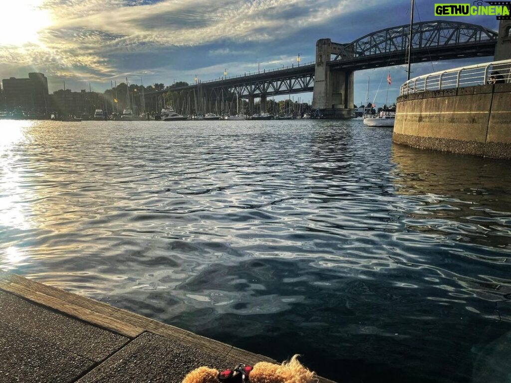 Candice Patton Instagram - 🥓 Vancouver, British Columbia