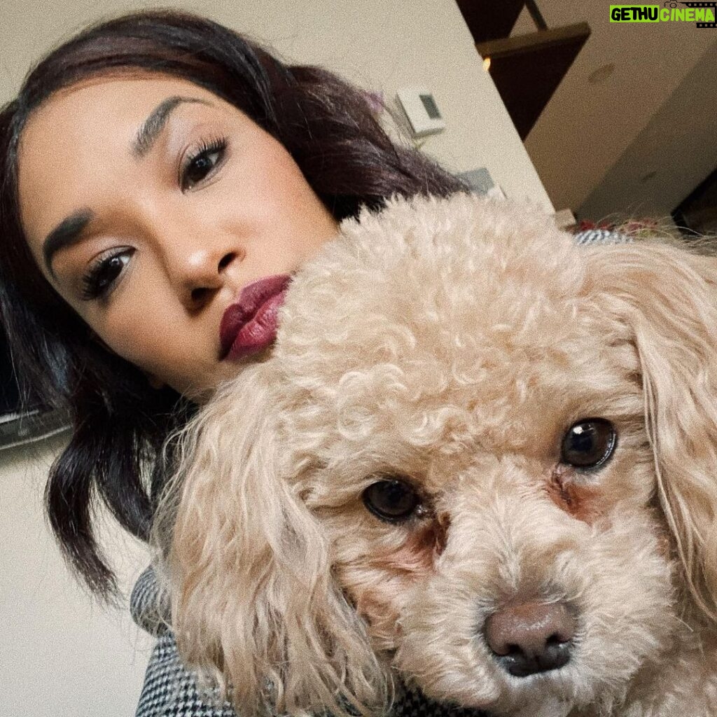 Candice Patton Instagram - must love dogs