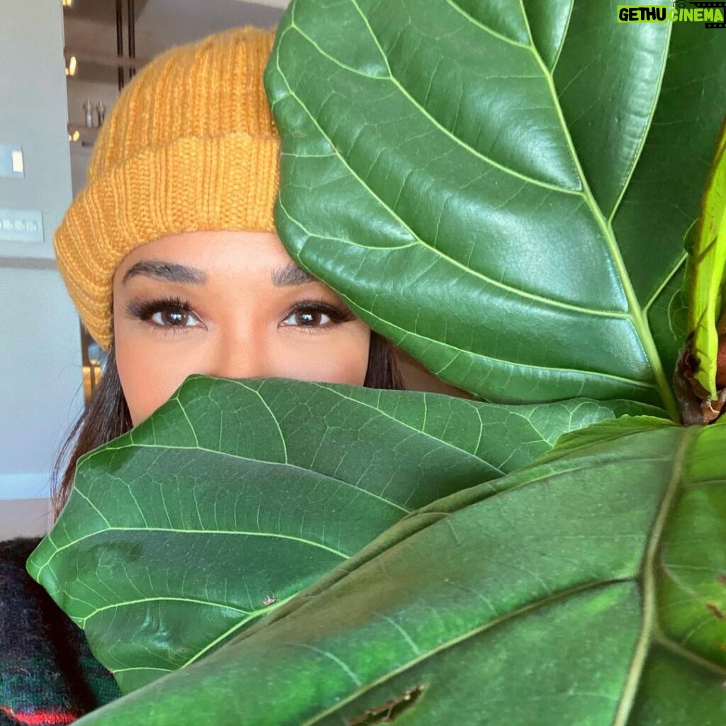 Candice Patton Instagram - wake up wake up wake up it’s da first the month 🦚