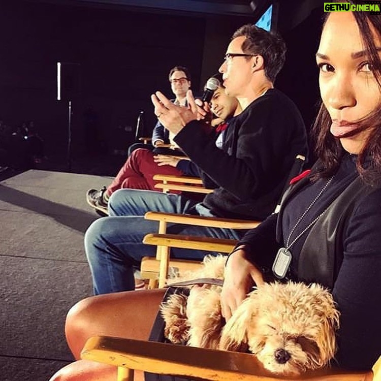 Candice Patton Instagram - Happy 4th Birthday to my best best friend🐶 and best travel companion. ✈️ My constant in a not so stable life. Can’t imagine my life without you Zoë. ❤️🎉