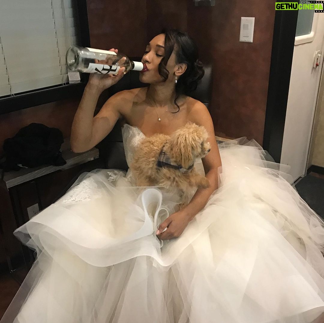 Candice Patton Instagram - Happy 4th Birthday to my best best friend🐶 and best travel companion. ✈️ My constant in a not so stable life. Can’t imagine my life without you Zoë. ❤️🎉
