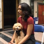 Candice Patton Instagram - Happy 4th Birthday to my best best friend🐶 and best travel companion. ✈️ My constant in a not so stable life. Can’t imagine my life without you Zoë. ❤️🎉