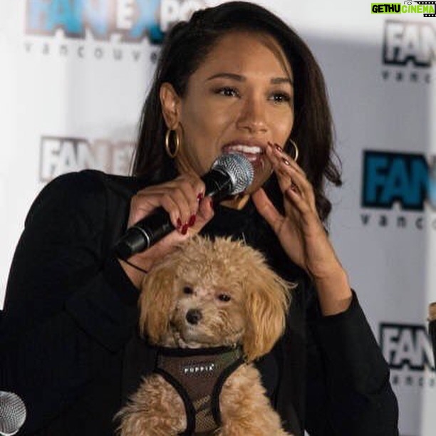 Candice Patton Instagram - Happy 4th Birthday to my best best friend🐶 and best travel companion. ✈️ My constant in a not so stable life. Can’t imagine my life without you Zoë. ❤️🎉