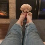 Candice Patton Instagram - Happy 4th Birthday to my best best friend🐶 and best travel companion. ✈️ My constant in a not so stable life. Can’t imagine my life without you Zoë. ❤️🎉