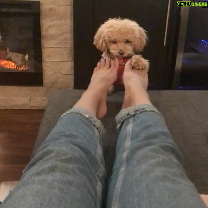 Candice Patton Instagram - Happy 4th Birthday to my best best friend🐶 and best travel companion. ✈️ My constant in a not so stable life. Can’t imagine my life without you Zoë. ❤️🎉