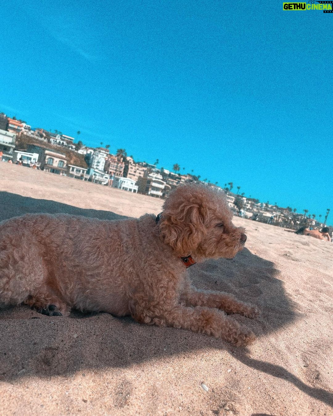 Candice Patton Instagram - Found out recently my vitamin D levels were so low thanks to my doctor who had a sneaking suspicion. Normal levels are around 30. I was at an 8! 😱 Vitamin D deficiency can cause mood changes (depression and anxiety), bone loss, bone and joint pain, and fatigue. I’m now on prescription level vitamin D and prioritizing soaking up the California sun when I can. ☀️🥰 ( also sneaking salmon back in my diet) Did you know the more melanin in your skin the harder it is for you to synthesize vitamin D from the sun? Have you checked your vitamin D lately ? Love u lots. ❤️ Los Angeles, California