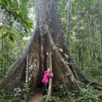 Carmen Aub Instagram - 10 fotos no bastan para transmitir ni un 10% de la experiencia que @rainforestexpeditions nos regaló! El Tambopata Research Center (TRC), es algo que nunca me pude imaginar. Algo que me encantó, fue conocer la selva con guías locales y convivir cada noche con científicos y biólogos que te contagian esa pasión por lo que hacen. No es lo mismo aprender sólo por lo que te cuentan, a vivirlo caminando por la selva cuando sales a la aventura y lo ves! Ser temporada de lluvia solamente agregó magia a la experiencia (no saben cómo me gusta caminar en lodo) y una vez de vuelta en el albergue, no hay nada más rico que ver y escuchar la selva mientras te tomas algo. No sé si alguna vez podré vivir algo así nuevamente, sin duda lo llevaré en mi corazón por siempre, y mientras tanto desde casa podré seguir voluntariando por medio de su programa @wiredamazon (entren al link de su bio, está súper!). Gracias a todo el staff que nos atendió durante estos días, y gracias especiales a nuestro guía, Lucho @luisalbertochipaloayza por enseñarnos los secretos de la Amazonía. #Peru #Travel #Amazonia #viajando Tambopata Research Center.