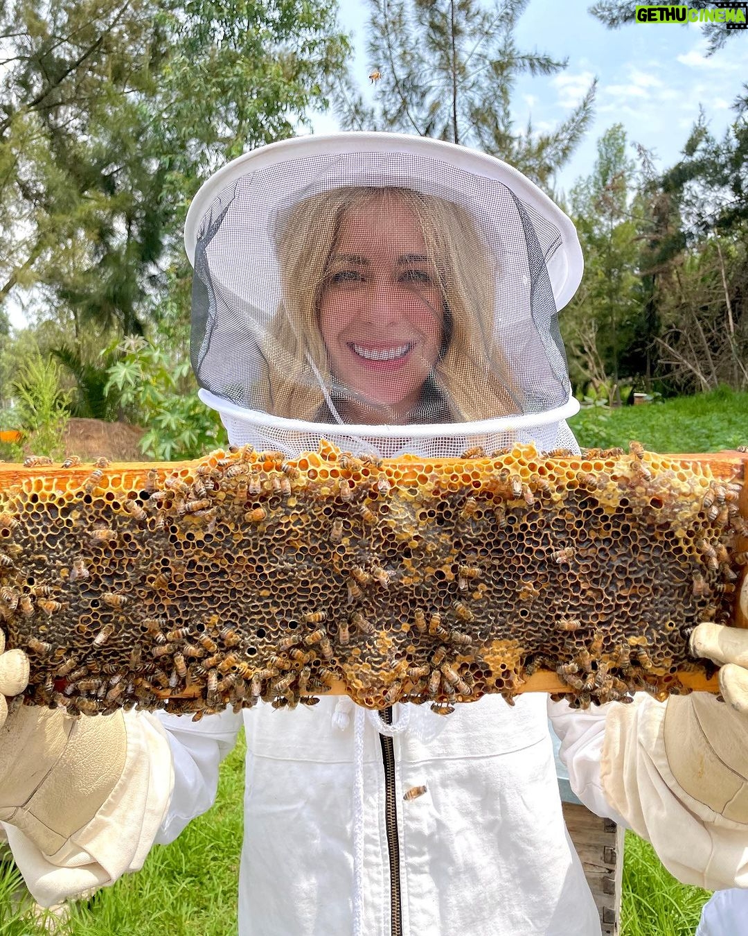 Carmen Aub Instagram - O C T U B R E 🐝 Abejas de Barrio