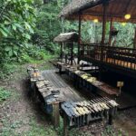 Carmen Aub Instagram - 10 fotos no bastan para transmitir ni un 10% de la experiencia que @rainforestexpeditions nos regaló! El Tambopata Research Center (TRC), es algo que nunca me pude imaginar. Algo que me encantó, fue conocer la selva con guías locales y convivir cada noche con científicos y biólogos que te contagian esa pasión por lo que hacen. No es lo mismo aprender sólo por lo que te cuentan, a vivirlo caminando por la selva cuando sales a la aventura y lo ves! Ser temporada de lluvia solamente agregó magia a la experiencia (no saben cómo me gusta caminar en lodo) y una vez de vuelta en el albergue, no hay nada más rico que ver y escuchar la selva mientras te tomas algo. No sé si alguna vez podré vivir algo así nuevamente, sin duda lo llevaré en mi corazón por siempre, y mientras tanto desde casa podré seguir voluntariando por medio de su programa @wiredamazon (entren al link de su bio, está súper!). Gracias a todo el staff que nos atendió durante estos días, y gracias especiales a nuestro guía, Lucho @luisalbertochipaloayza por enseñarnos los secretos de la Amazonía. #Peru #Travel #Amazonia #viajando Tambopata Research Center.