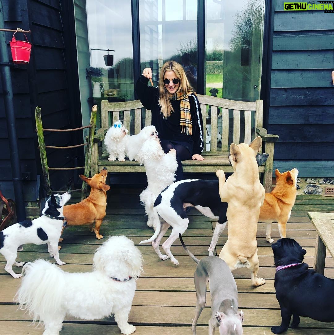 Caroline Flack Instagram - The best place and the best medicine .. this place is beautiful @thelittlelordbarkley ❤️