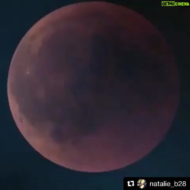 Caroline Flack Instagram - The moon brings trouble . Tonight.