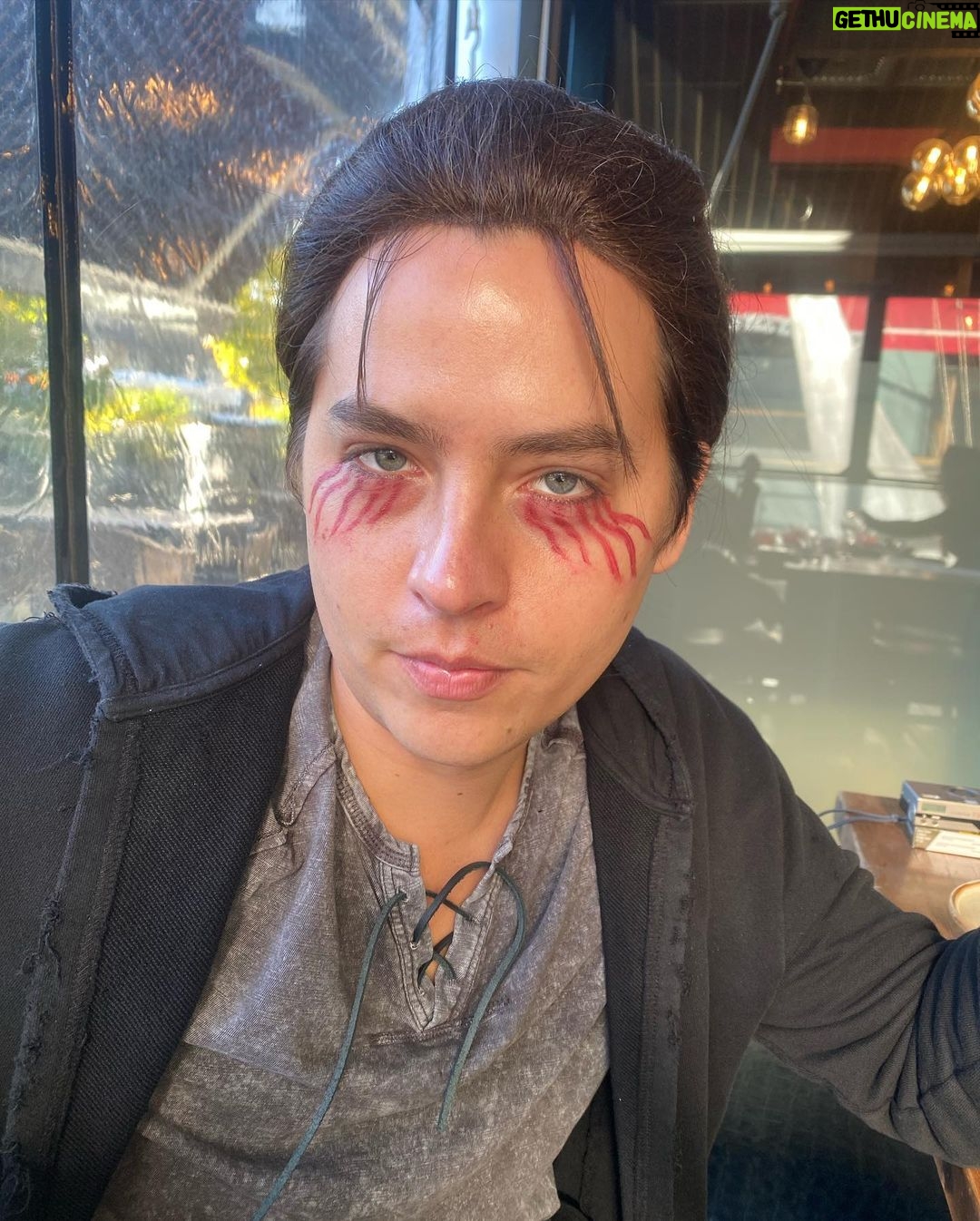 Casey Cott - 424.9K Likes - Year 6 π³