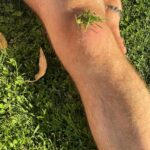 Casey Frey Instagram – I’m partnering with @dollarshaveclub as part of their #MenGetReal campaign. Dollar Shave Club’s got all your grooming needs covered, now at a store near you. #ad #dollarshaveclub.

Tarantula, twiggums, chicken leg, skinny dumbass. These are just some of the names I’ve been called throughout the years. All made me who I am….daddy. I broke both my legs when I was a kid. Had to relearn to walk and they still figured out a way to moonwalk there way into making a living. So in short I’m able to buy a big ass TV and pay for a roof over my head because of these scrawny little fuckers. 
Mark my words. Before I die, skinny hairy legs will be as revered as having a phat ass in today’s culture!