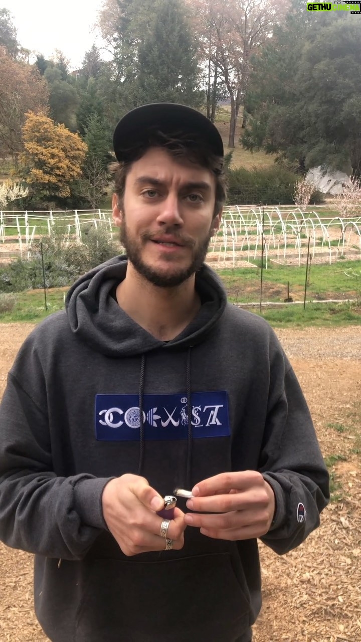 Casey Frey - 278.5K Likes -
