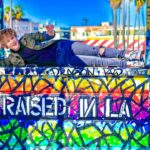 Casey Simpson Instagram - House tour Venice Beach - Venice Boulevard