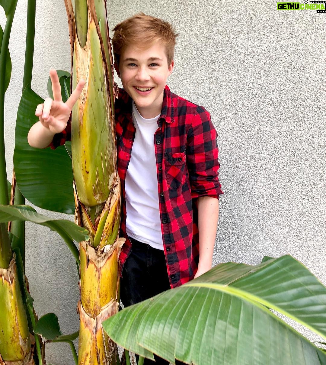 Casey Simpson Instagram - The plant and I say thankssssssss for two million