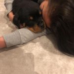 Cassie Ventura Instagram - There are no words to describe the way I feel right now. You and I didn’t have the smoothest road together, but it was a good road. Your love was consistent and you loved and took care of my baby and that’s all that will ever matter to me. Trying to find peace with this one but I don’t know that I ever will. Your heart was too pure for this world. You brought so much joy into our lives and I feel so blessed to have had you in my life. I am a better mother because of you. Love you forever, Waffles. Rest easy.