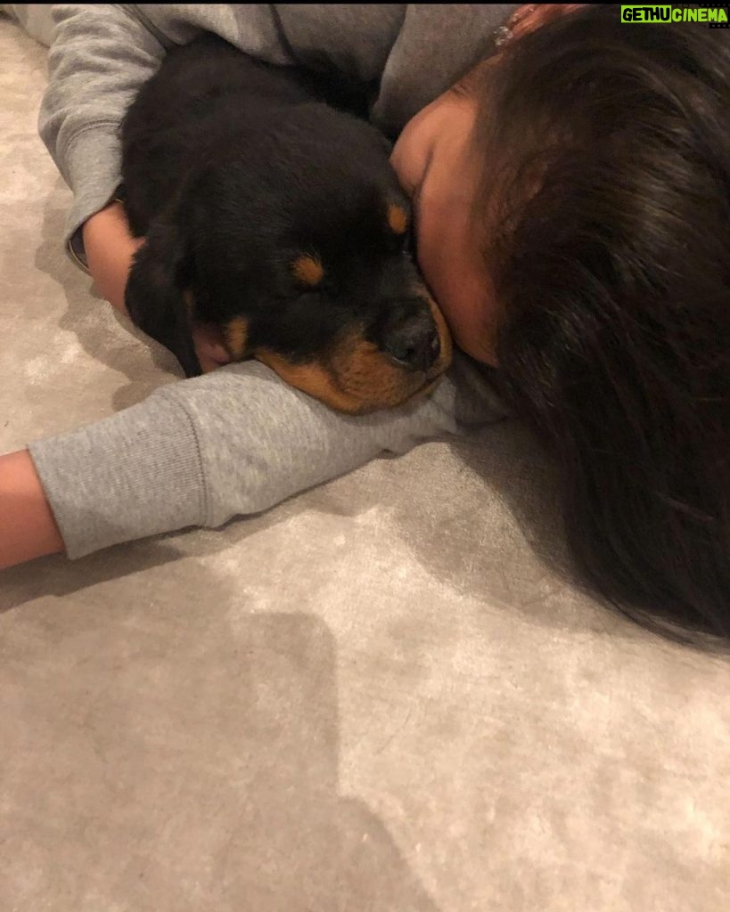 Cassie Ventura Instagram - There are no words to describe the way I feel right now. You and I didn’t have the smoothest road together, but it was a good road. Your love was consistent and you loved and took care of my baby and that’s all that will ever matter to me. Trying to find peace with this one but I don’t know that I ever will. Your heart was too pure for this world. You brought so much joy into our lives and I feel so blessed to have had you in my life. I am a better mother because of you. Love you forever, Waffles. Rest easy.