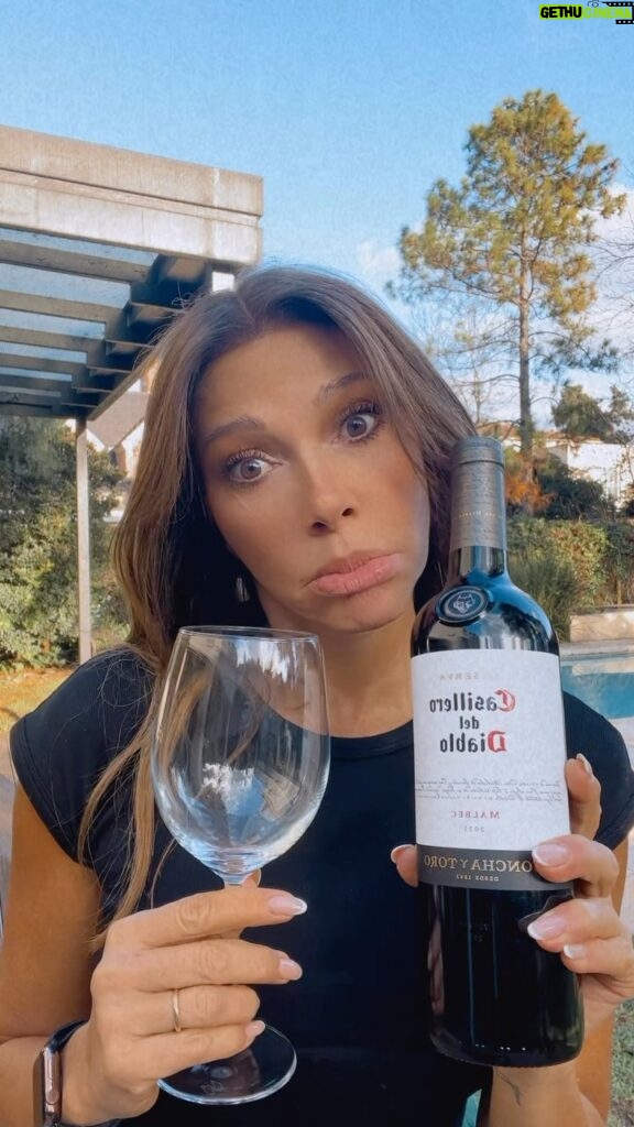 Catherine Fulop Instagram - Como negarme a un buen vino 🍷 Amo Tu puedes!??? @casillerodeldiablo_arg @casillero_diablo General Pacheco