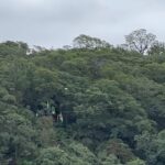 Catherine Fulop Instagram - Gran viaje entre amigos a la hermosa provincia de Catamarca, la pasamos increíble, @facundoaranatagle @zaira.nara @estebanlamothe que no se corte!!! Jijiii y desen por besados todos!!! Jajajajaaaa!!! Todos mis #looks by @portsaidoficial Que tengan bella noche!!!! Se les quiere ♥️🦋 #viajedeamigos #catamarca #turismoargentino #argentina🇦🇷