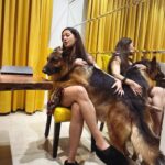 Catherine Tresa Instagram - Oscar and Cooper , my four- legged happiness!❤️ #dogsareagirlsbestfriend #oscarandcooper #whatmakesmyhearthappy #chasingmondaybluesaway