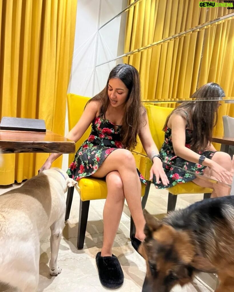 Catherine Tresa Instagram - Oscar and Cooper , my four- legged happiness!❤️ #dogsareagirlsbestfriend #oscarandcooper #whatmakesmyhearthappy #chasingmondaybluesaway