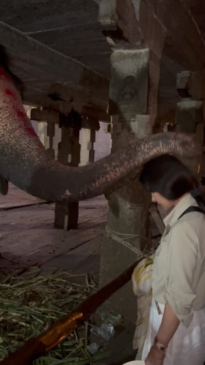 Catherine Zeta-Jones Instagram - Blessed by an elephant❤️