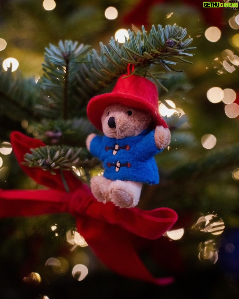 Catherine Zeta-Jones Instagram - I am so honored to be narrating the #TogetherAtChristmas carol service tonight this Christmas Eve (7pm GMT, ITV1)remembering Queen Elizabeth II and celebrating inspiring people doing so much for their communities. Join us, at Westminster Abbey, for this special occasion with @princeandprincessofwales and, of course, our beloved Paddington Bear.