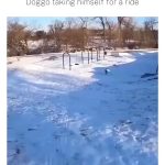 Catherine Zeta-Jones Instagram - Sometimes, you just have to take yourself on a ride. I love a good snow day 🥰